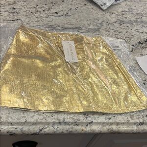 Torn by Ronny Kobo Gold Mini Skirt